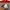 JERSEY - NIKE 2 BLOCK COLOR RED GREY photo 4
