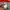 JERSEY - NIKE 2 BLOCK COLOR RED GREY photo 5