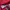 Adidas Tracktop Red Pink Stripes White photo 3