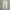 LACOSTE JOGER LONG PANTS
 photo 4