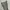 UNIQLO CARGO JOGER LONG PANTS
 photo 2