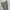 UNIQLO CARGO JOGER LONG PANTS
