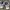 Nike air monarch  photo 4