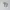 Nike Air Force 1 Shadow Pixel Barely Green photo 3