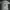 Adidas Trifoil Green Sage Big Logo photo 2
