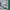 Nike Fullwhite Green Tracktop photo 5