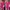 VLabel London Pergola Magenta Dress Size XL photo 5