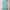  VLabel London Wimbeldon Dress Size XL photo 3