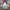 Vintage rare Issey Miyake tsumori chisato  photo 1