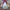 Vintage Rare Issey Miyake Tsumori Chisato 