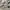 [LIKE NEW] JaVa Cargo Pants White/Broken White — Baggy Fit photo 5