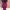 Purple Peplum Dress Size M photo 6