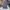 Vintage 90's Denim Pants Baggy Y2k Zonz photo 1