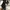 E8 by Miista Haig Embellished Sneakers Size EU 37 photo 4