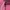 Hoodie pink HnM photo 4