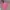Hoodie pink HnM photo 2