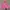 Hoodie pink HnM photo 1