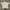 Boxy t shirt  photo 2