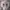 Baby Three Big Head Baby Zipper photo 3