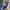 ADIDAS X CP COMPANY ITALIA SPZL , ADIDAS X CP COMPANY ITAL photo 1