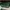 Longchamp Bag Large Green photo 2