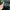 Longchamp Bag Large Green photo 4