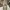Vintage Long Pants Lee Japan