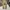 Vintage Long Pants Lee Japan photo 4