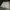 Celana pendek Nike Swoosh photo 1