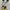Mickey mouse photo 1