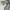 Ray Beams Japan Babydoll Kimono Streetwear Style Women Cewek photo 4