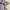 Ray Beams Japan Babydoll Kimono Streetwear Style Women Cewek photo 3