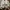 Oncloud W Cloudnova Form 2 photo 1