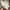 Oncloud W Cloudnova Form 2 photo 5
