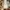 Oncloud W Cloudnova Form 2 photo 6