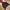 Nike Running Shield Windrunner Gorpcore Shanghai Beetroot Re photo 4