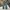 Vintage Y2k Denim Pants True Religion Ripped