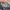  Nike Sb Zoom Stefan Janoski Slip Rm Crafted 100% Original  photo 4