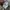 Alpha Industries Faux Leather B3 Bomber Sherpa Jacket Like N photo 7