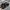 Nike Lebron Witness 3 Ep Second/Bekas 100% Original photo 2