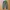 Outdoor product utility Cargopants inner polar tech photo 1