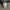 UNDER ARMOUR HALFZIP  photo 5