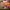 KOLONI 4D VIP EXCLUSIVE STAR GAMING ASIA TERPOPULER photo 1