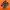 jordan low travisscott
 photo 1