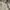 Calvin Klein Beige Trench Coat photo 3
