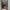 Simplicite revesible bomber jacket photo 4
