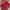New Balance Streetwear Sportswear Bag Pria red photo 3