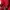New Balance Streetwear Sportswear Bag Pria red photo 2
