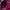 The North Face Sportswear Bag Pria pink photo 5