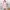 Beatrice clothing rosa dress photo 1
